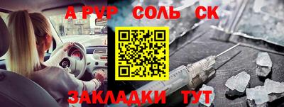 шишки Новодвинск