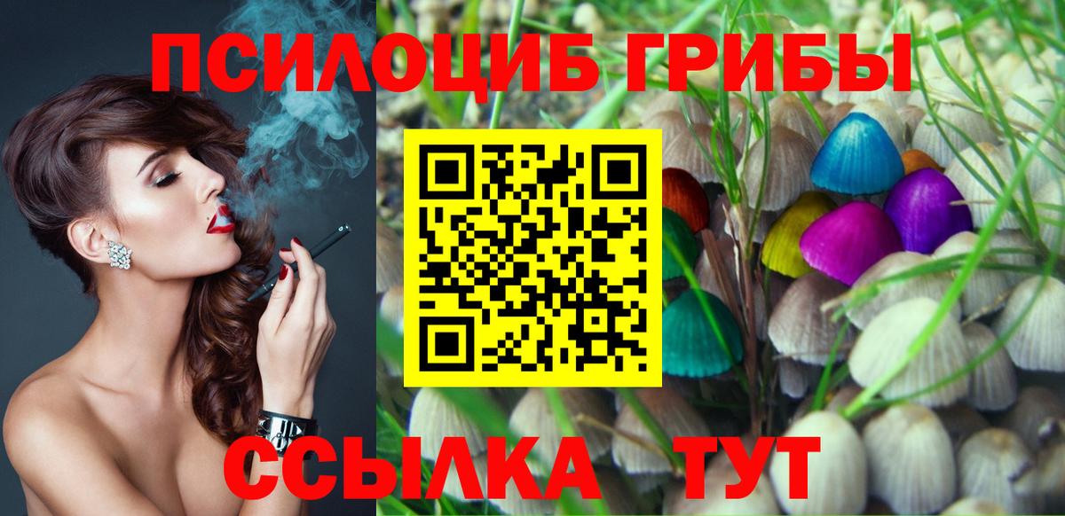 Ростов Великий  Галлюциногенные грибы прущие грибы  Вход с VPN 