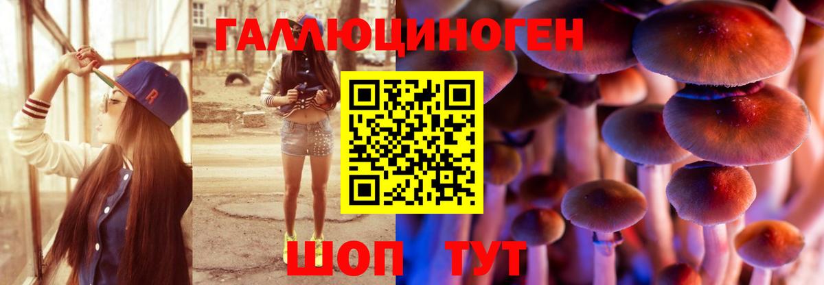 Галлюциногенные грибы Psilocybine cubensis Ростов Великий