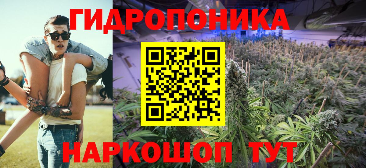Канабис OG Kush  МАРИХУАНА конопля  Вход с VPN  Ростов Великий  МАРИХУАНА OG Kush  Канабис THC 21% 